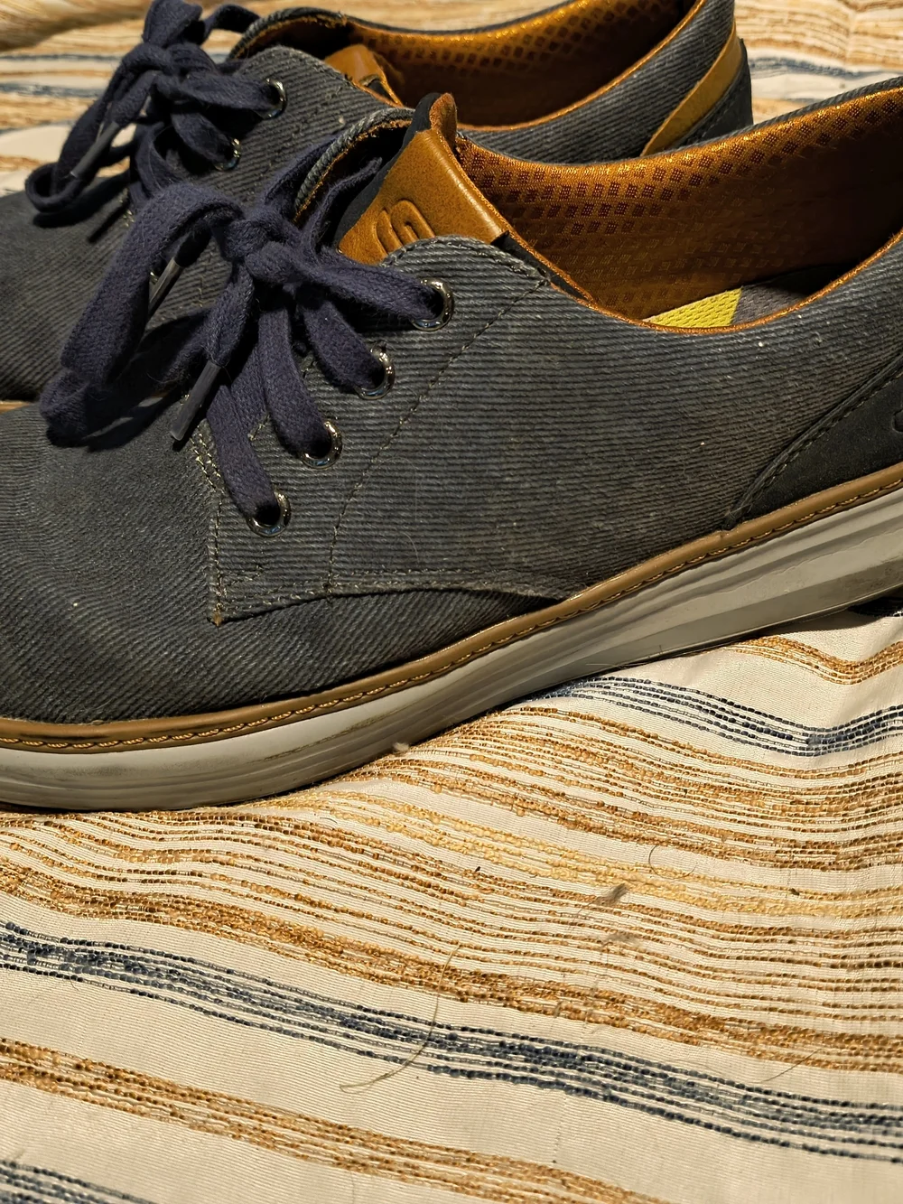 Skechers Navy Canvas Sneakers with Tan Accents